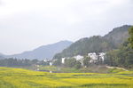 婺源