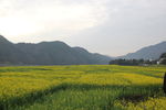 婺源