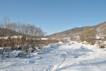 雪乡