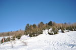 雪乡