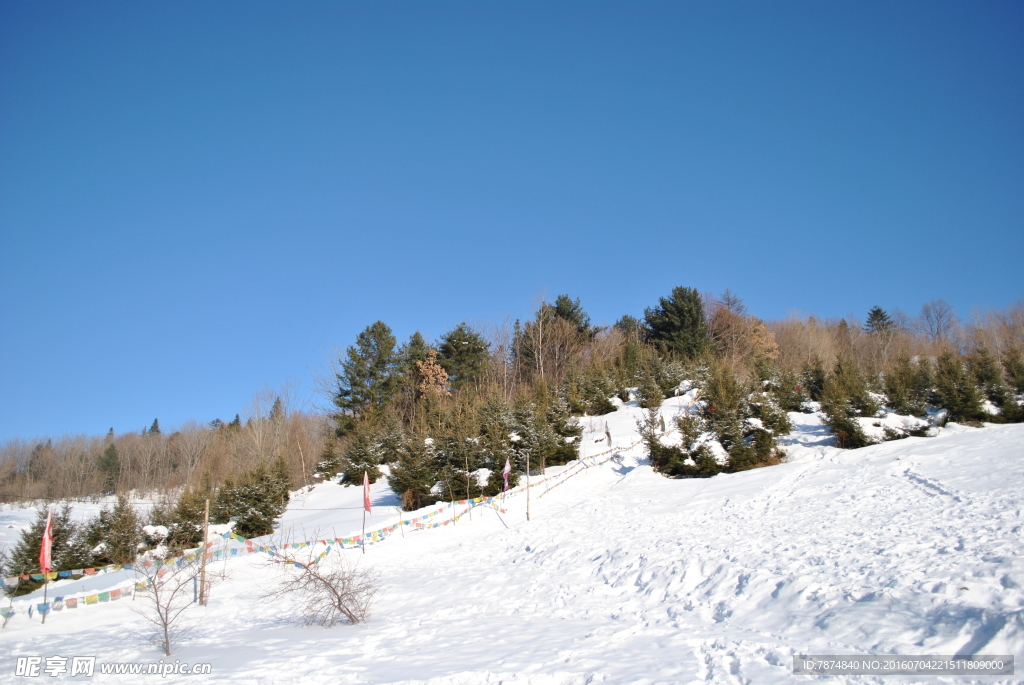 雪乡