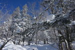 雪乡
