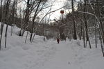 雪乡