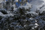 雪乡