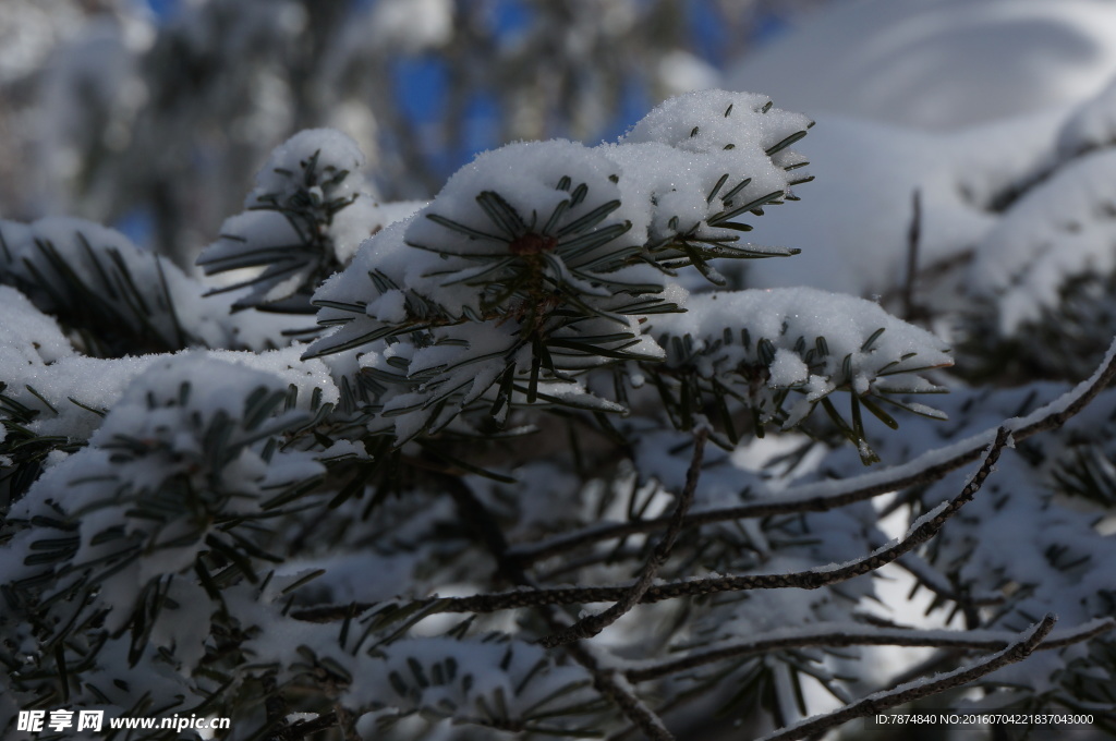 雪乡
