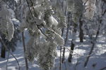 雪乡
