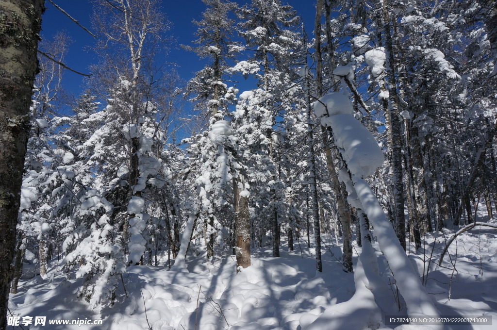 雪乡