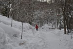 雪乡