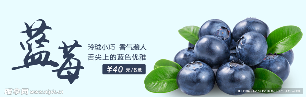 蓝莓广告首页