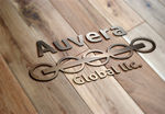 LOGO 展示样机