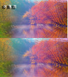 梦幻红叶倒影视频背影