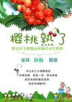 樱桃熟了海报