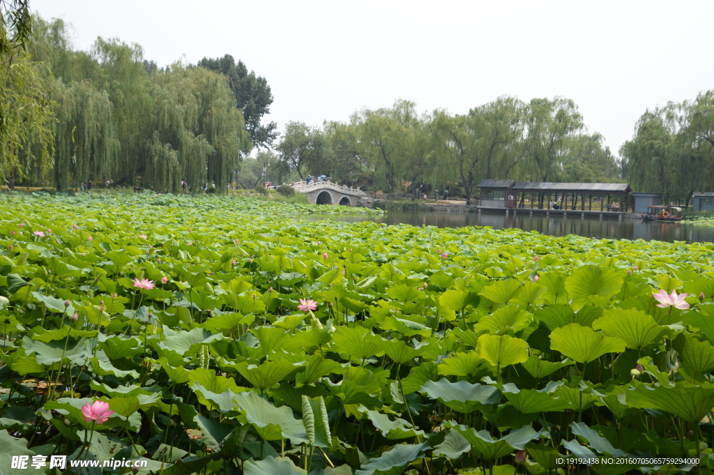 圆明园风景