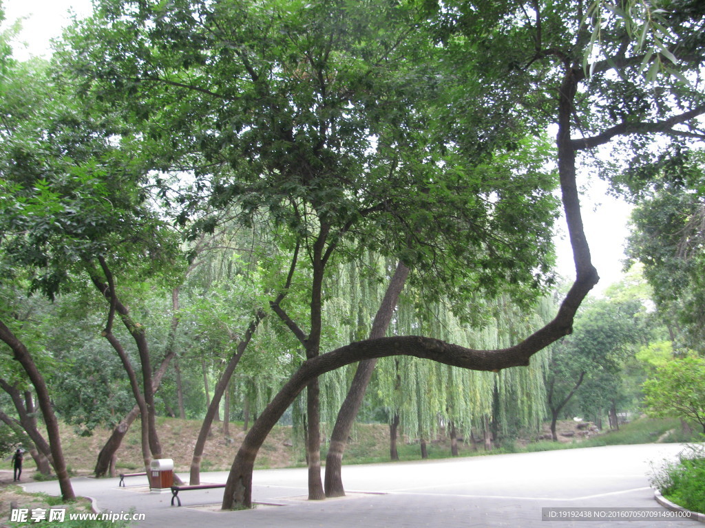 圆明园风景