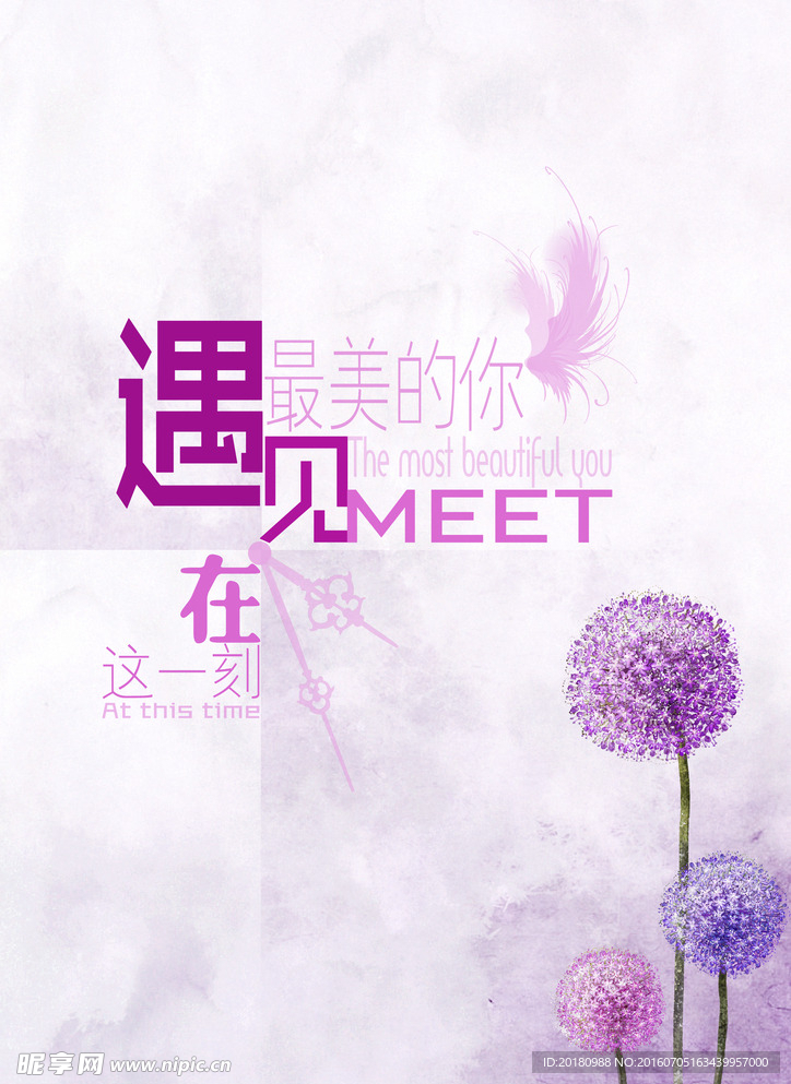 梦幻蒲公英