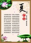 夏季养生文化