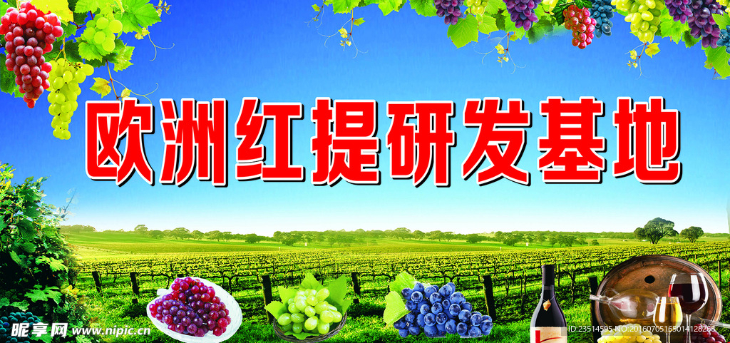 葡萄园海报