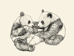 熊猫 手绘 线描