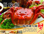 阳澄湖 大闸蟹