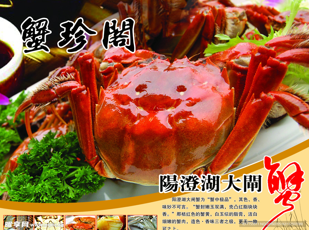 阳澄湖 大闸蟹
