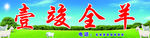 壹竣全羊