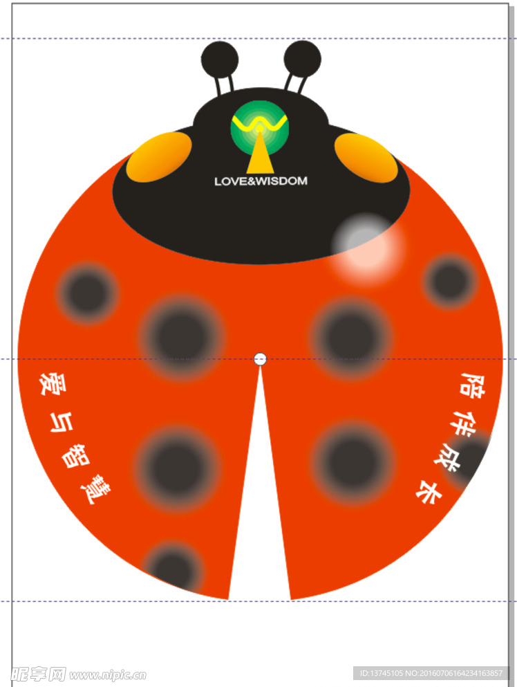 七星瓢虫