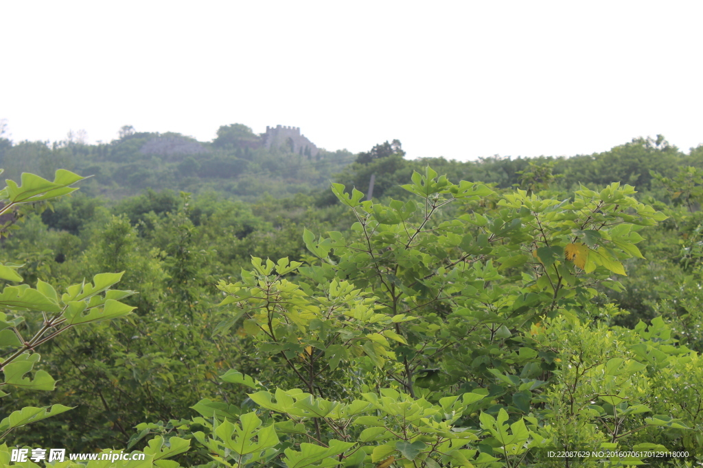山顶古城