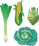 大葱 玉米 咸菜头 蔬菜