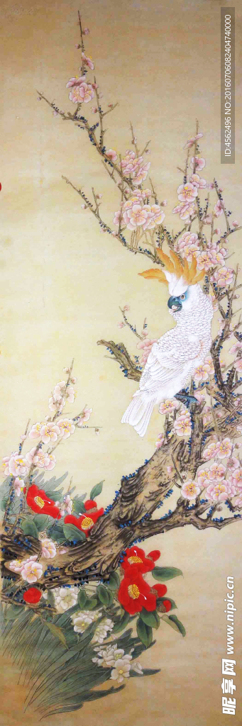 工笔鹦鹉