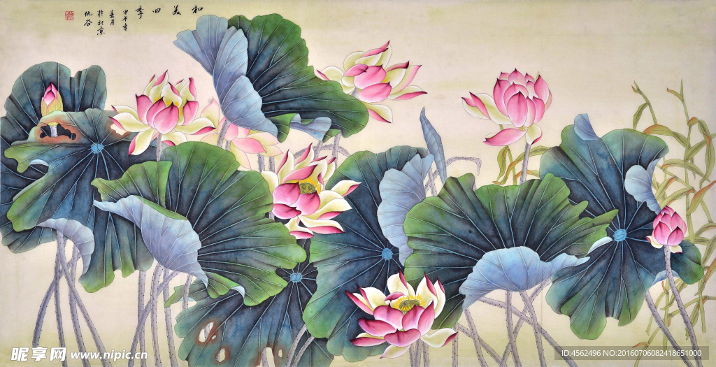 工笔荷花