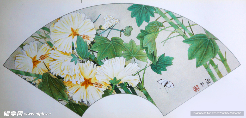 花鸟画
