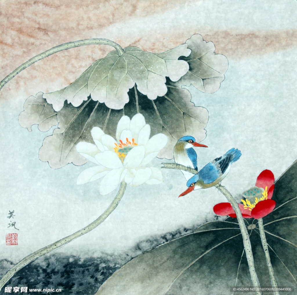 荷花翠鸟