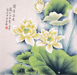 荷花国画