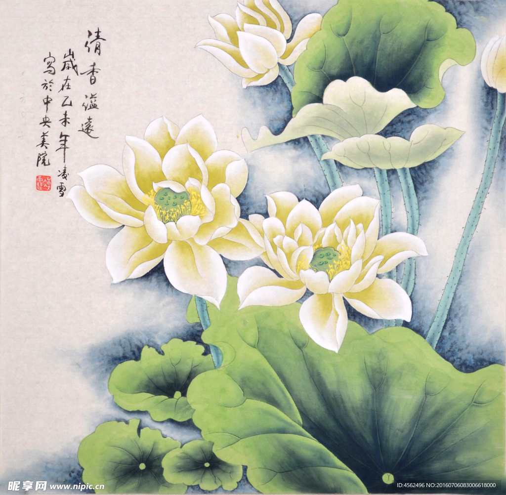 荷花国画