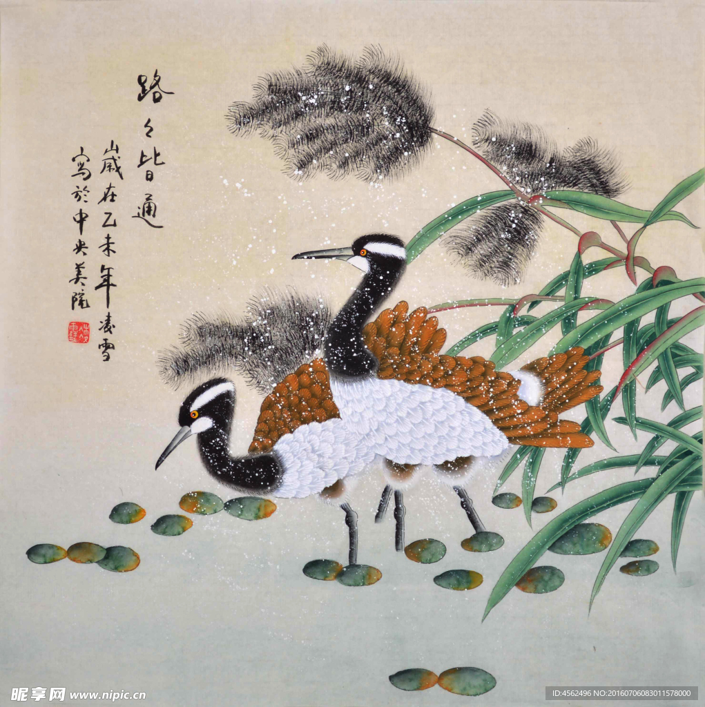 花鸟画