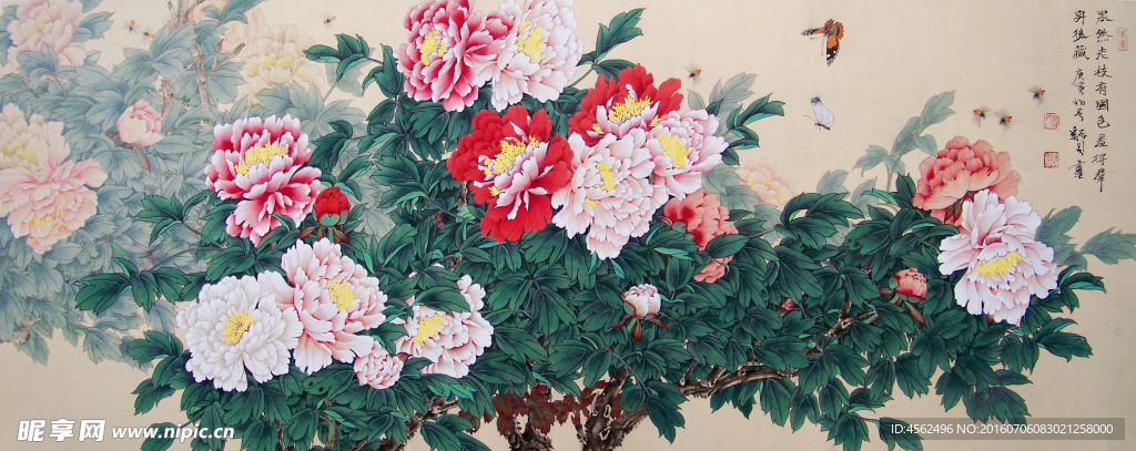 牡丹国画