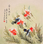 金鱼水草