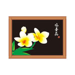 鸡蛋花