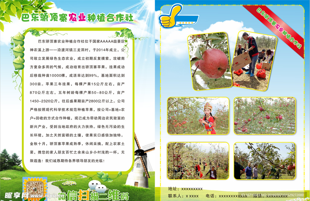 骄顶寨农业种植合作社宣传单