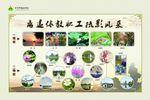 退休教师活动掠影