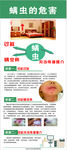 螨虫的危害
