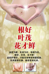 妇女养生