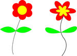 手绘小花