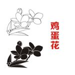 鸡蛋花