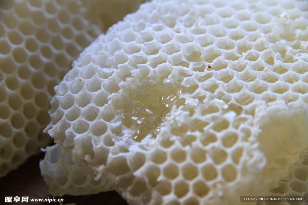 长白山 蜜蜂 蜂巢