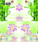 3D荷花富贵竹特效背景视频