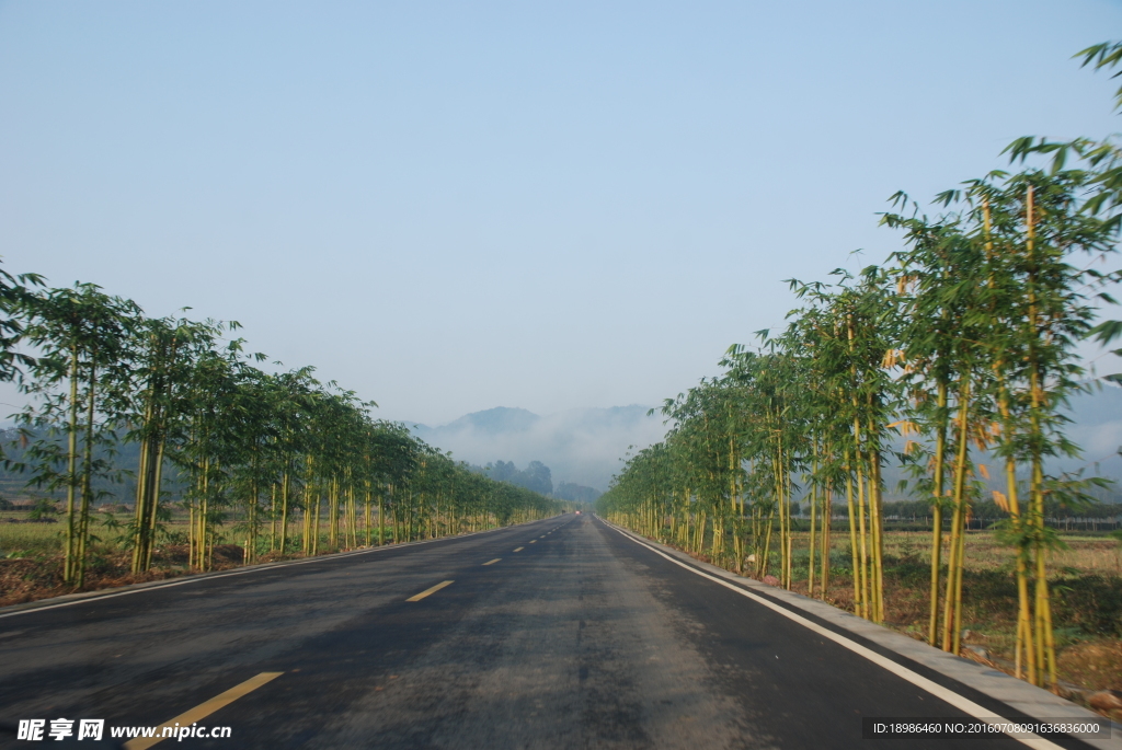 道路