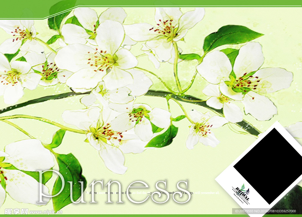 Purness婚纱照相册模板