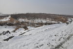雪地