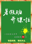 暑期班开课了